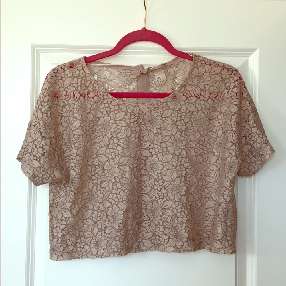 H&M lace crop top in taupe size 6 (small)